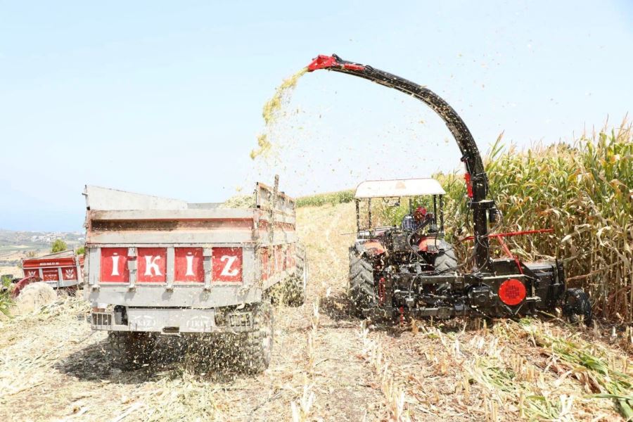 HBB’NİN TOHUMLARINI DAĞITTIĞI 9 BİN DEKARLIK MISIRIN HASADI BAŞLADI
